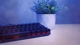 Teclado Mecanico Gamer TGT Sherman #teclado #gamer #gamers