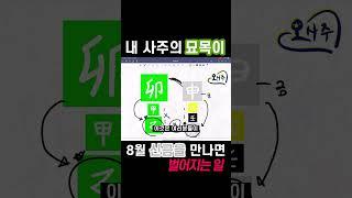 내 사주의 묘목이 8월 신금을 만나면 벌어지는 일 2 #갑진년 #2024년운세 #을경합 #묘목 #신금