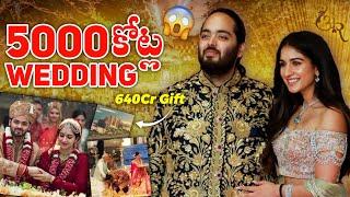 Anant Ambani పెళ్ళికి ఎంత కట్నం వచ్చింది ! Why Did Mukesh Ambani Spend 5000 Crores? 