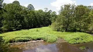 369 Acres Hunting Land for Sale in Union Parish, LA