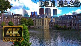 4K Walking Tour | Den Haag | The Hague The Netherlands  Summer August 2023 ️ HLG HDR