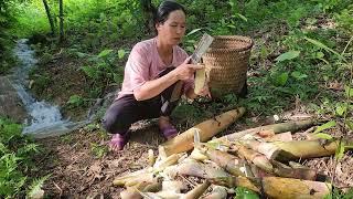 Go into the forest to pick bamboo shoots. A bad guy appears and asks to sacrifice himself.