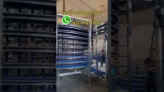 Chinese Manufacturer Supplier Spiral Freezer Small Spiral Cooling Conveyor Tower #cinta #transporter