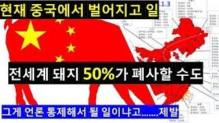 [아프리카돼지전염병] 지금 중국에서 벌어지고 있는 일 feat, 중국의 계략[음모론]#언론통제#미디어검열