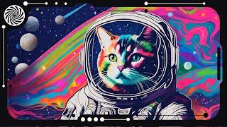 Space Cat & No Spoon - Verify You Are Not A Robot [Psychedelic Visuals]