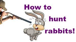 How to hunt rabbits!