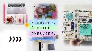 Studyblr. A Quick Overview.