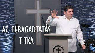 Az elragadtatás titka - Novák Zsolt