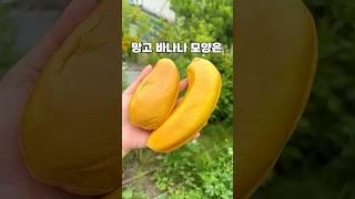 까먹는 빵이라는 특이한 빵