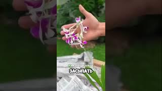 Кашпо своими руками