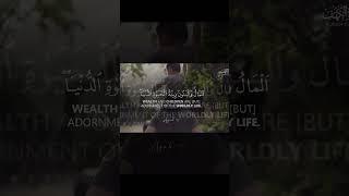 Wealth and children are the adornment of this worldly life….(surah kahf Ayah 46)