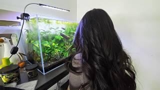 A Fishkeeper's Wife answers Fish Tank Questions (DOES SHE WATCH MY VIDEOS?)