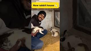 New rabbit house #minivlog #pigeonvlogger #petlover #birds #pigeon #rabbit #khargosh #bunny #viral