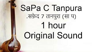 C Scale Tanpura Sa-Pa for Riyaz | सफ़ेद 1 तानपुरा | Soothing Meditation Music