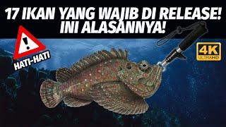 IKAN-IKAN YANG WAJIB DI RELEASE PARA PEMANCING! 4K