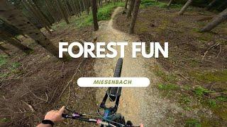 Forest Fun Trailland Miesenbach Austria Full Run POV RAW