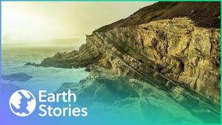 The Wild Coastlines Of New Zealand (Wildlife Documentary)