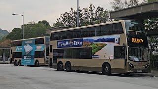 Hong Kong Bus KMB ATENU78 @ 47A 九龍巴士 Alexander Dennis Enviro500 MMC 水泉澳 - 葵芳(南)