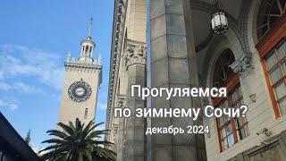 Прогулка по зимнему Сочи. Декабрь 2024