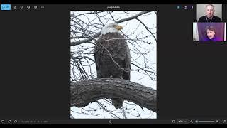 Episode 3 of the Nesting Eagles Podcast- Young nesting adults are fun but not always reliable!