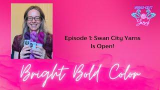 Episode 1 - Swan City Yarns is open!