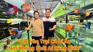 Lost in the Mysterious Aquarium Farm | Lots of Beautiful Fish | A Place Not Everyone Knows !!