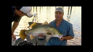 IFISH Lake Monduran BIG BARRA