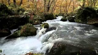 青森県　奥入瀬渓流　阿修羅の流れと紅葉