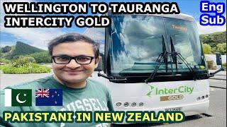 InterCity Gold bus from Wellington to Tauranga travel vlog PAKISTANI TOURIST IN NEW ZEALAND ENG SUB