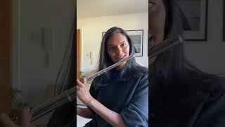 B.O.T.A - Eliza Rose Flute Cover