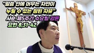 “말씀 안에 머무는 자만이 누릴 수 있는 참된 자유 | 요한 8,31-42 강론”