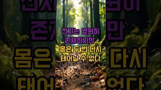 천지는 영원히 존재하지만 몸은 두 번 다시 태어날 수 없다