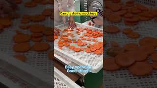 Root Vegetable/carrots food dehydrator drying machine