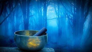 Rain in Woods + Tibetan Bowls | Relax, Study or Sleep with White Noise Music | 10 Hours