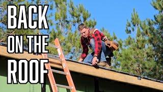 Ladders Up: Back On The Roof! | Building Our Off-Grid House (By Hand)