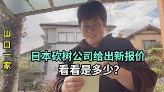 嫁到日本農村這麽久，第一次見下冰雹，砍樹公司又給了新報價？