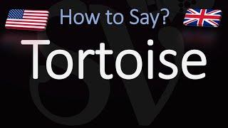 How to Pronounce Tortoise? (CORRECTLY)