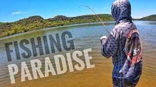 Insane Tilapia Fishing in Clear Water! (Redbreast Bream/Kurper)