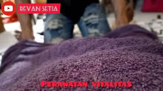 Perawatan kesehatan vitalitas para suami