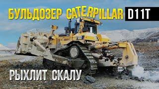 Тяжелый бульдозер Caterpillar D11T рыхлит скалу (коренные породы). Добыча золота на Колыме