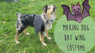  Making dog batwing costume 