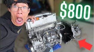 K-swapping my car with ONLY $800?!