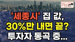 세종시 집값, 30%만 내면 끝?! 수억 내고 산 사람들 통곡 중! 호갱들만 수억 날렸나? 부동산 아파트 상가 지식산업센터 오피스텔 이야기 집값전망 하락 폭락 노가다 노비