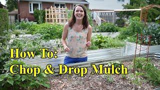 How to: Chop & Drop Mulch