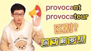 provocateur和provocant都能做形容词，咋区分？