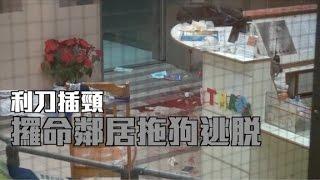 黃大仙下邨鄰居嘈交　男子遭利刀插頸攞命