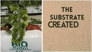 Step up your hydroponic production with Biogrow Substrates