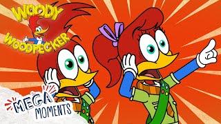 Woody Helps the Scouts | Woody Woodpecker | Compilation | Mega Moments