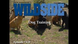 New Hampshire's WildSide - Dog Training