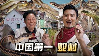 260集  与300万毒蛇共舞，探秘中国第一蛇村 ｜冒险雷探长Lei's adventure